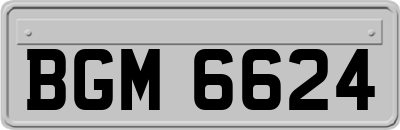 BGM6624