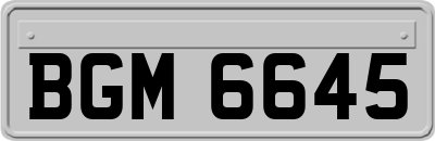 BGM6645