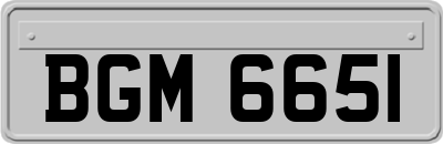 BGM6651