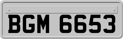 BGM6653