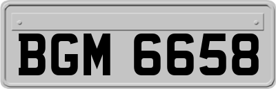 BGM6658