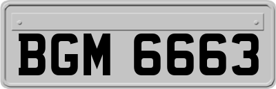 BGM6663