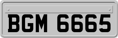 BGM6665