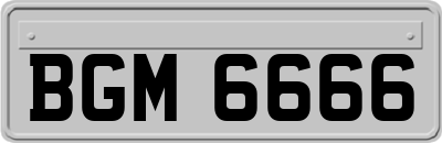 BGM6666