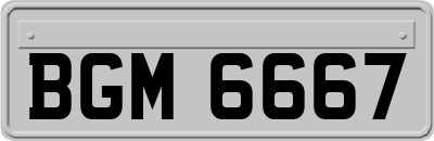 BGM6667