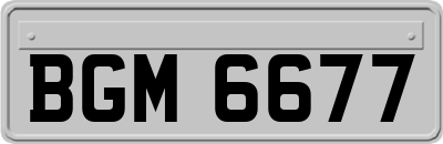 BGM6677
