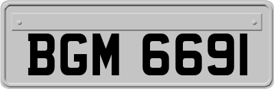 BGM6691