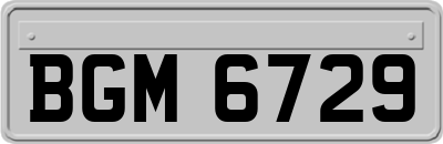 BGM6729