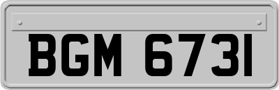 BGM6731