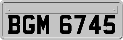 BGM6745