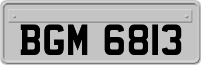 BGM6813