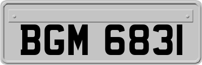 BGM6831