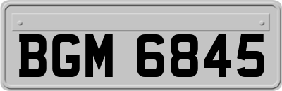 BGM6845