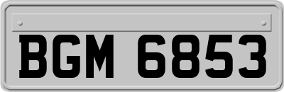 BGM6853