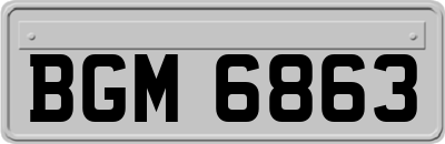 BGM6863