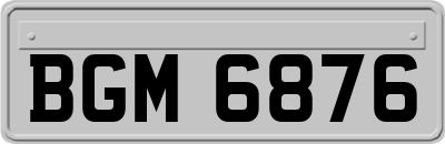 BGM6876