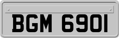 BGM6901