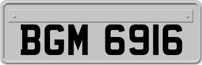 BGM6916