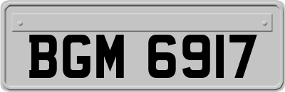 BGM6917