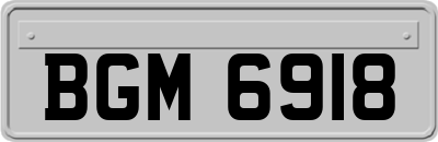 BGM6918