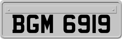BGM6919