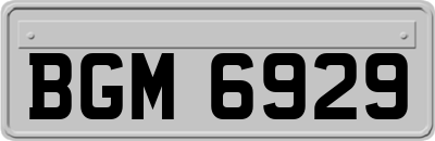 BGM6929