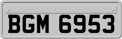BGM6953