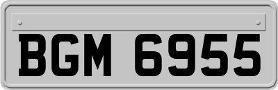 BGM6955