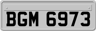 BGM6973