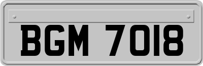 BGM7018