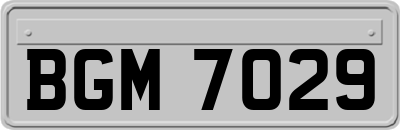 BGM7029