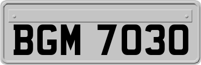 BGM7030
