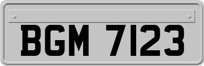 BGM7123