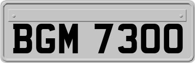 BGM7300