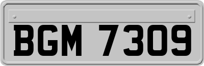 BGM7309