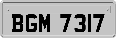 BGM7317