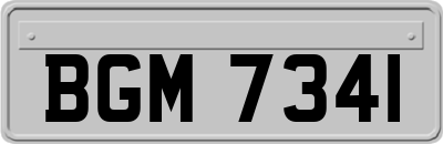 BGM7341