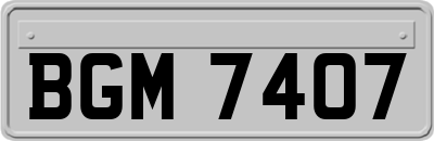 BGM7407