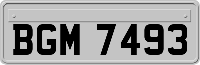 BGM7493