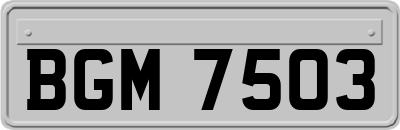 BGM7503