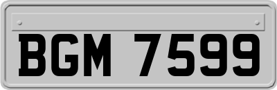 BGM7599