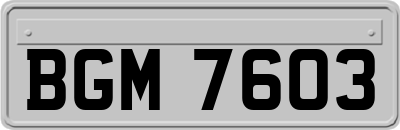 BGM7603