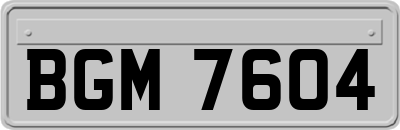 BGM7604