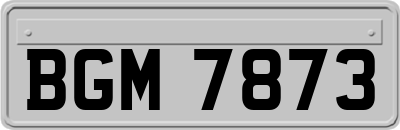 BGM7873