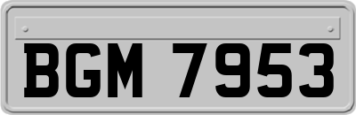 BGM7953