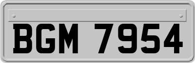 BGM7954