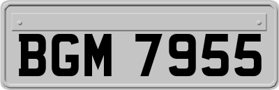 BGM7955