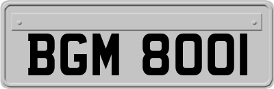 BGM8001