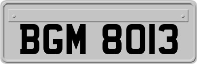 BGM8013