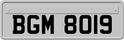 BGM8019